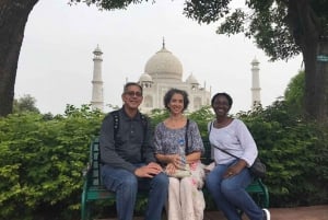 Delhi: Recorrido privado por el Taj Mahal y Agra en tren Gatimaan