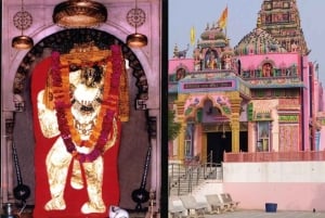 Fra Delhi: Luksus 2-dagers tur til Agra og Jaipur med elefant-SOS