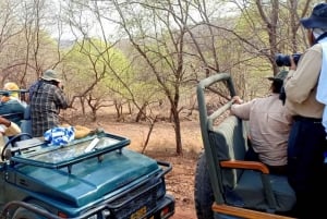 Delhi: Ranthambore National Park 3-Day Tour with Safari.