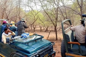 Delhi: Ranthambore National Park 3-Day Tour with Safari.