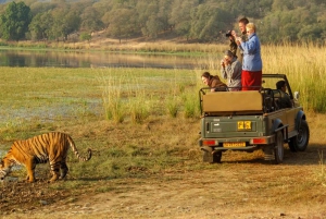 Delhi: Ranthambore National Park 3-Day Tour with Safari.