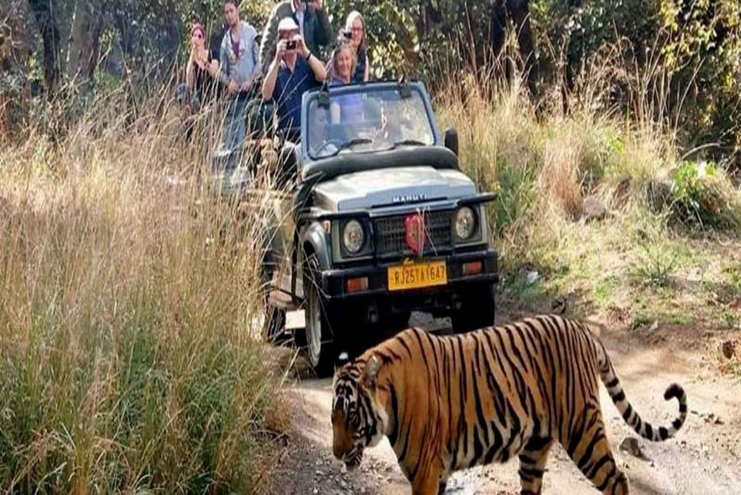 Delhi: Ranthambore nationalpark 3-dagarstur med tigersafari