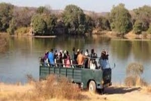 Delhi: Ranthambore National Park 3-Tages-Trip mit Tiger Safari