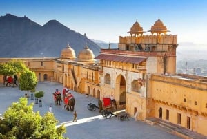 Z Delhi: Jednodniowa prywatna wycieczka do Jaipur z transferem.