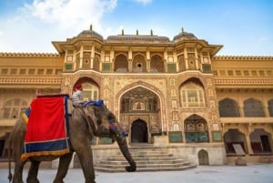 Z Delhi: Jednodniowa prywatna wycieczka do Jaipur z transferem.