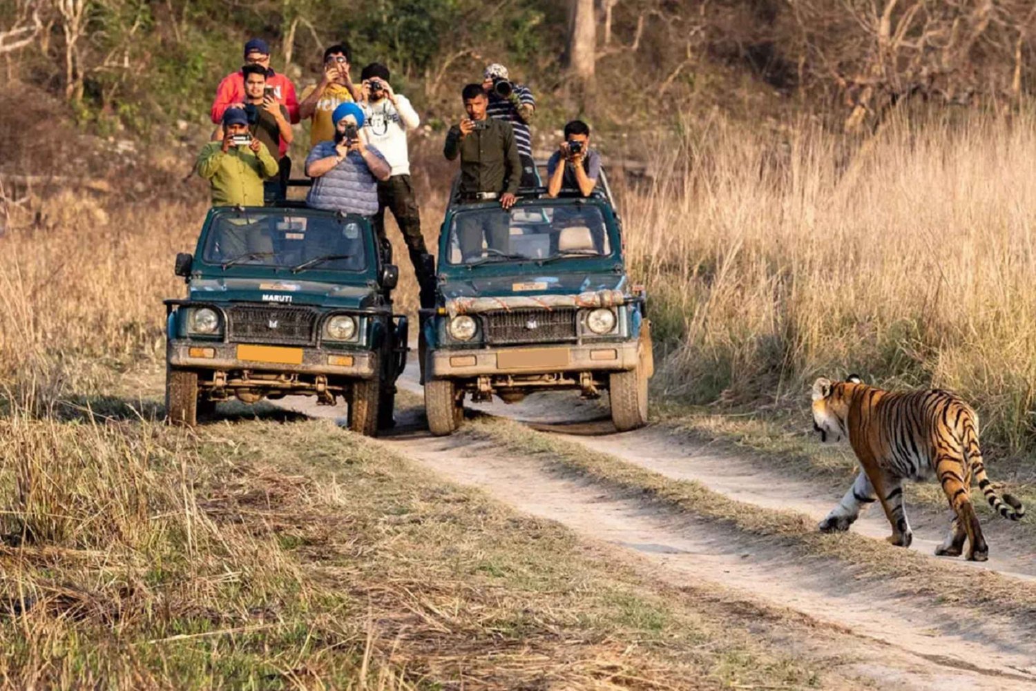 Delhi: Same Day Sariska National Park Tour with Tiger Safari