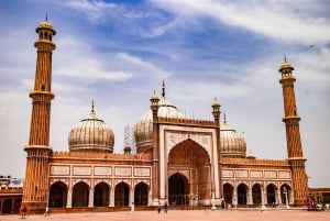 Delhi: Andlig rundtur med religiösa sevärdheter