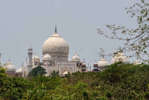 Delhi: Taj Mahal ja Agran linnoitus Fatehpur Sikrin päiväretkellä