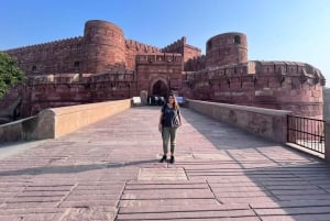 Delhi: Taj Mahal and Agra Skip The Line Private Day Tour