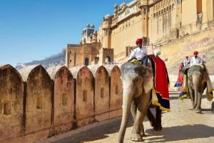 Jhalana Leopard Safari & Jaipur City Tour Explore Rajasthan