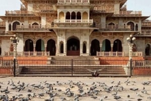 De Delhi a Jaipur: tour privado de un día por lo más destacado de la ciudad