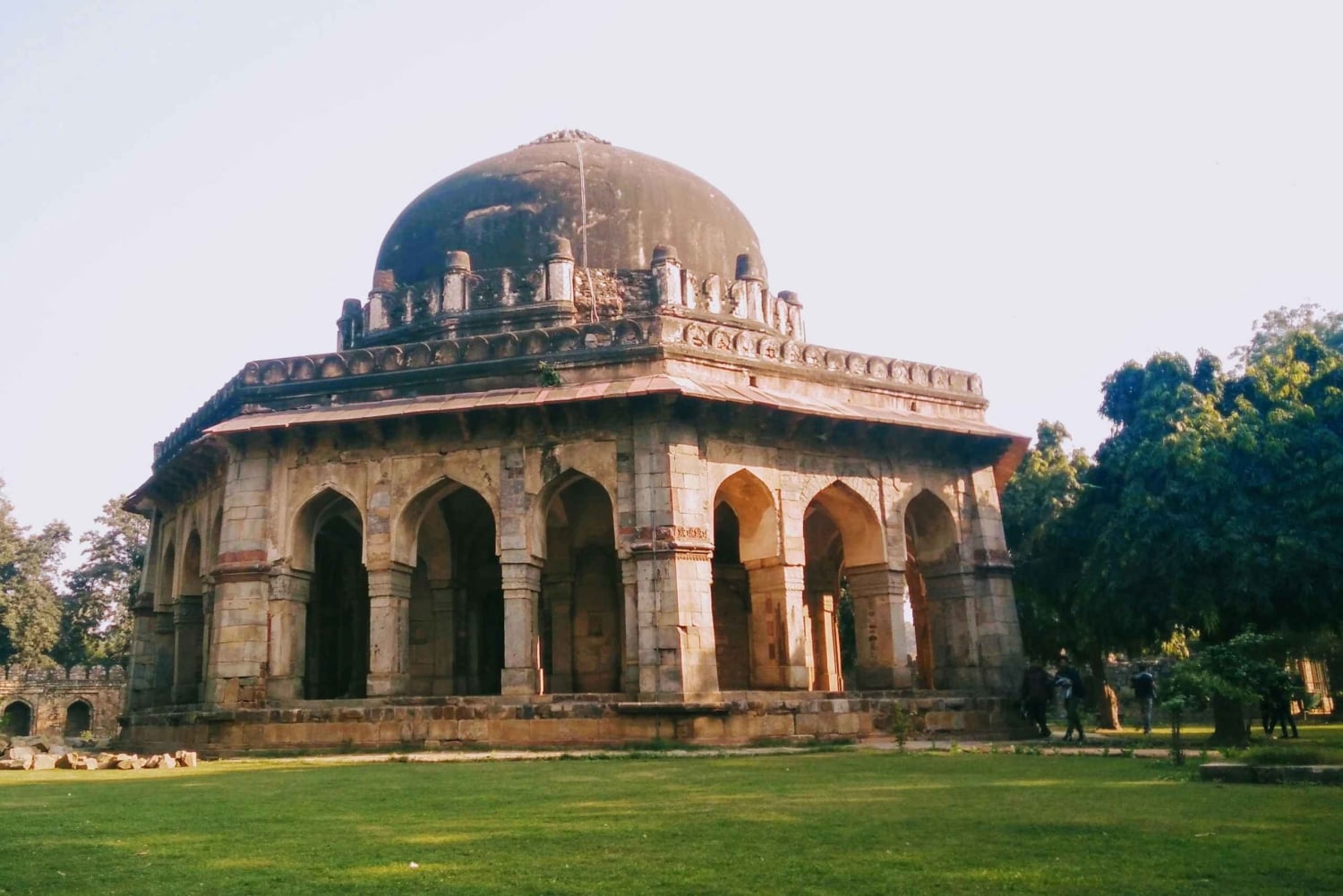 Delhi: Vilddjurs- och ekotur med apesafari