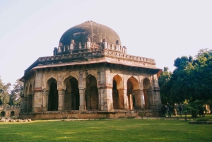 Delhi: Vilddjurs- och ekotur med apesafari