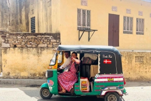 Encantadora Visita de 2 Días a la Ciudad Rosa de Jaipur en TukTuk