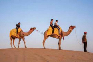 DESERT CAMEL SAFARI