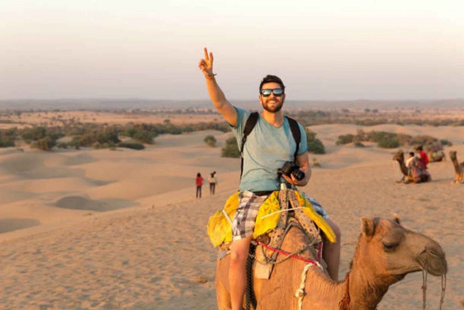 Safari Águila del Desierto : Experiencia tranquila y sorprendente en el desierto