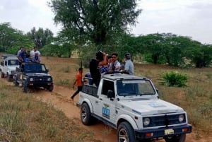 Safari en jeep dans le désert et safari à dos de chameau depuis Jodhpur