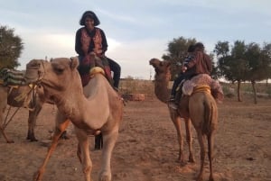 Safari de jipe no deserto e safari de camelo saindo de Jodhpur