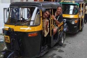 Desert Rose Jaisalmer : Golden City Tour by Tuk-tuk