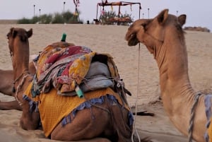 Desert Rose Jaisalmer: Luksusowy namiot na pustyni Thar