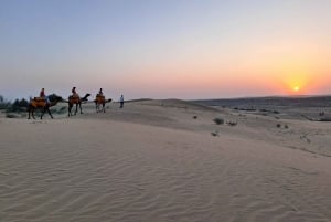 Desert Rose Jaisalmer: Jalmermer: Ylellinen teltta Tharin autiomaassa