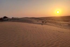 Desert Rose Jaisalmer : Tente de luxe dans le désert de Thar
