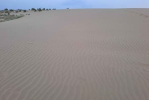 Desert Rose Jaisalmer: Non-touristic,Billion star experience