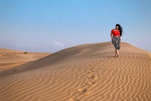 Desert Rose Jaisalmer: Non-touristic,Billion star experience