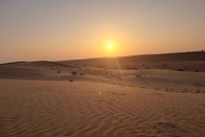 Desert Rose Jaisalmer: Overnight Stay Middle of Thar Desert