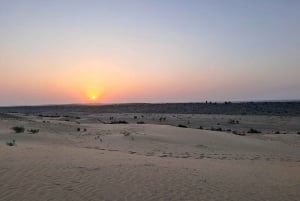 Desert Rose Jaisalmer: Overnight Stay Middle of Thar Desert