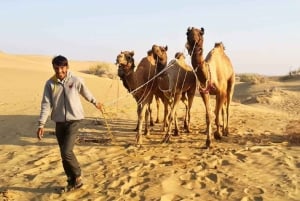 Desert Rose Jaisalmer: Overnight Stay Middle of Thar Desert