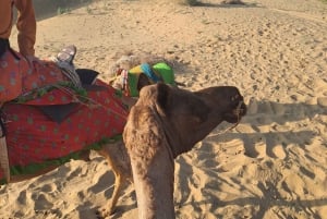 Desert Rose Jaisalmer: Nieturystyczne, miliardowe doświadczenie