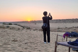 Desert Rose Jaisalmer: Nieturystyczne, miliardowe doświadczenie