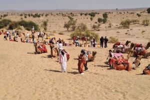 Desert Rose Jaisalmer: Overnight Stay Middle of Thar Desert