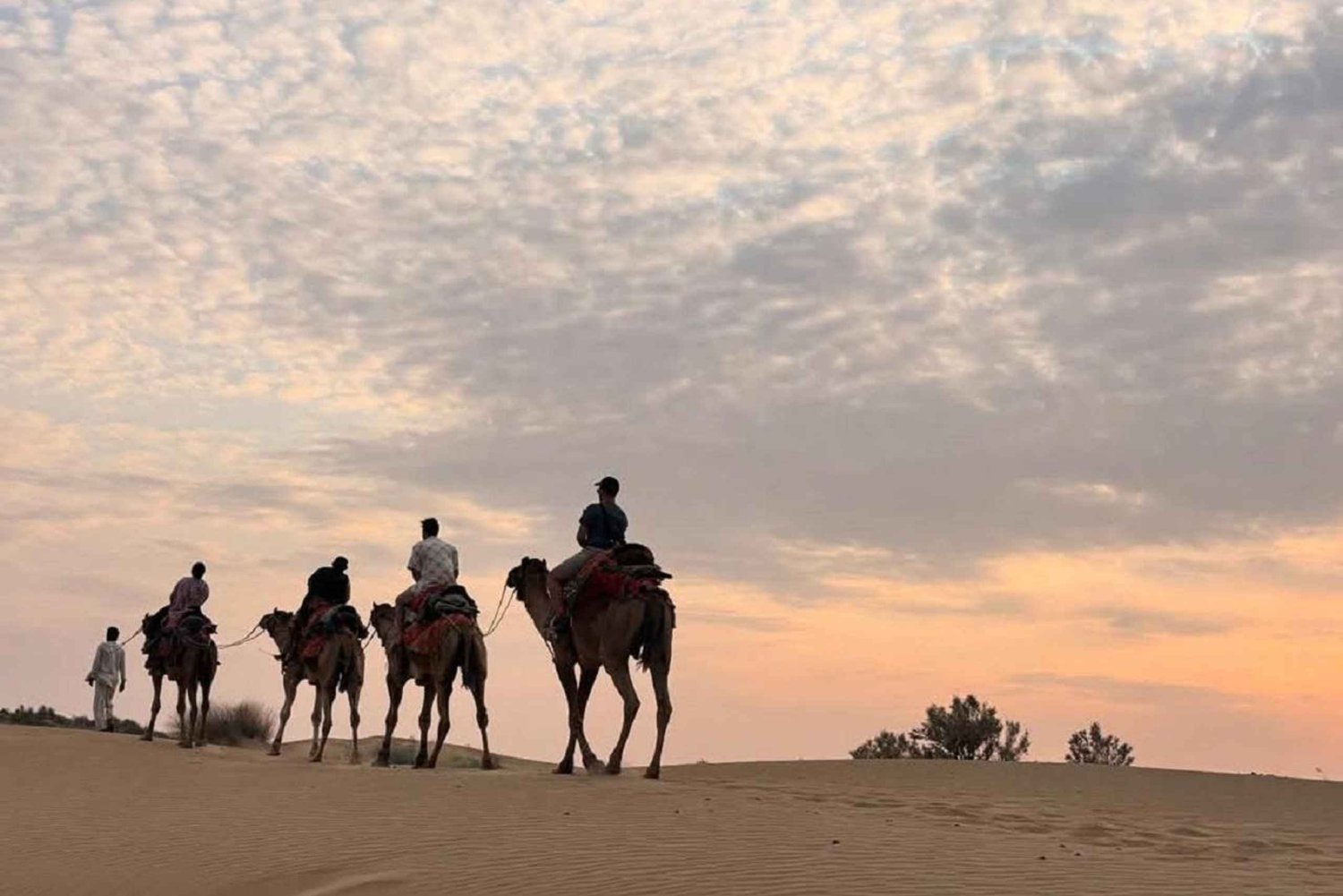 Róża pustyni Jaisalmer: Nocleg na środku pustyni Thar