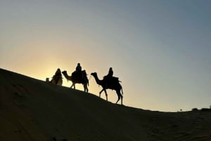 Desert Rose Jaisalmer: Overnight Stay Middle of Thar Desert