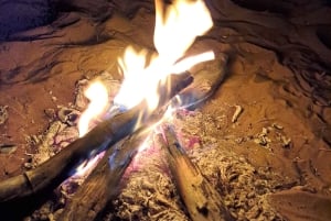 Desert Rose Jaisalmer: Jalmermermer: Yöpyminen keskellä Tharin autiomaata.