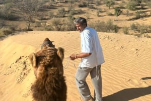 Safari dans le désert à Jodhpur