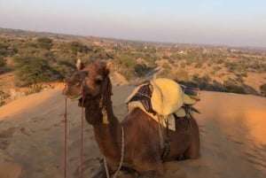 Öken safari i Jodhpur
