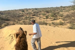 Safári no deserto em Jodhpur