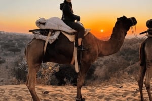 Safari dans le désert à Jodhpur