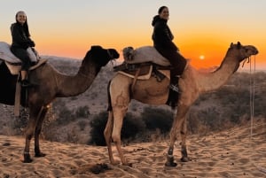 Safari dans le désert à Jodhpur