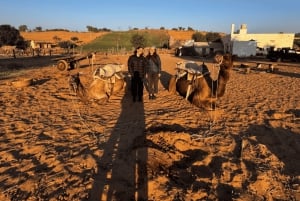 Safari dans le désert à Jodhpur