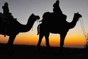 Safari dans le désert à Jodhpur