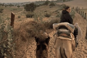 Safari dans le désert à Jodhpur
