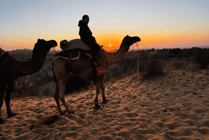 Safari dans le désert à Jodhpur