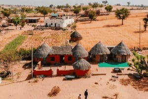 Safari dans le désert à Jodhpur