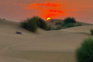 Pustynna wycieczka Jaisalmer