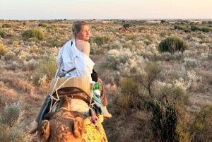 Woestijntour Jaisalmer