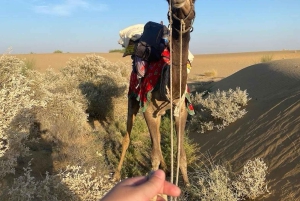 Woestijntour Jaisalmer